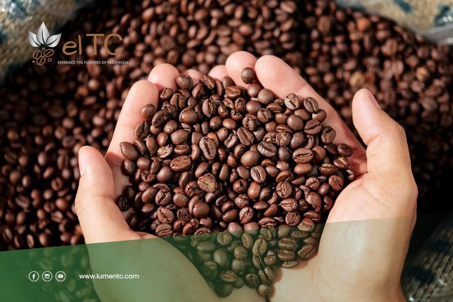 Differences-Between-Arabica-&-Robusta-Coffee