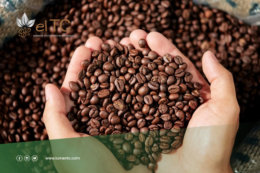 Differences-Between-Arabica-&-Robusta-Coffee