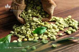 Supplier-of-Indonesian-Green-Coffee-Beans