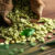Supplier-of-Indonesian-Green-Coffee-Beans