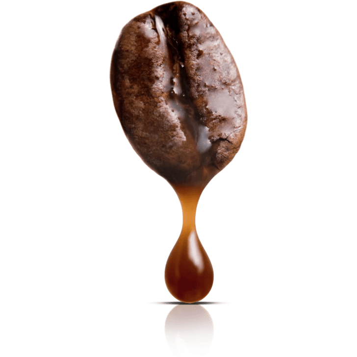 coffee_bean_3_1