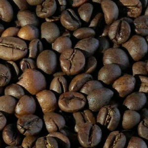 Gayo Arabica