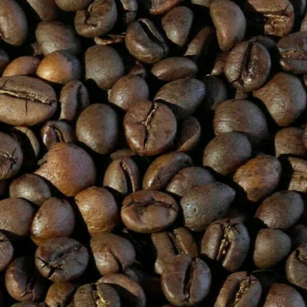 Gayo Arabica