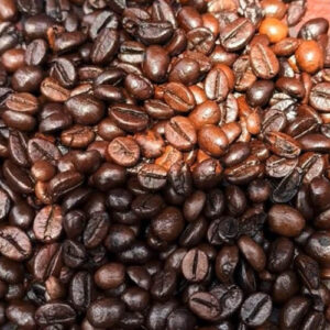 Kamojang Arabica