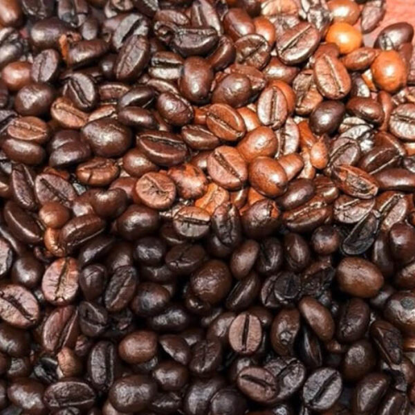 Kamojang Arabica