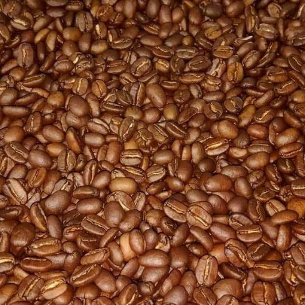Kintamani Arabica
