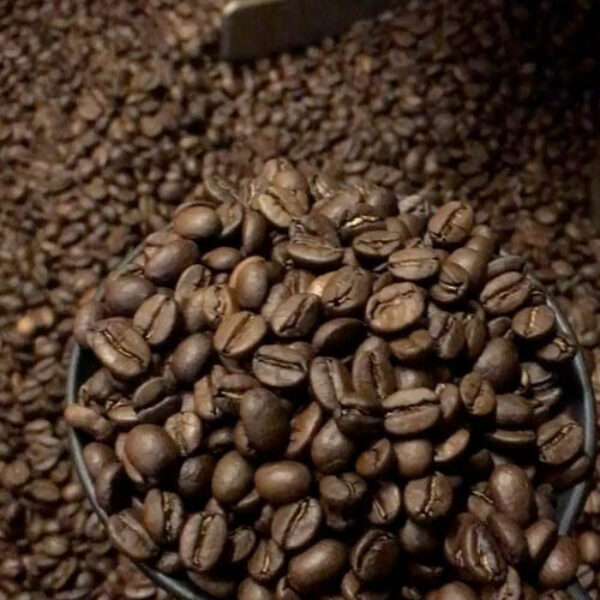 Priangan Arabica