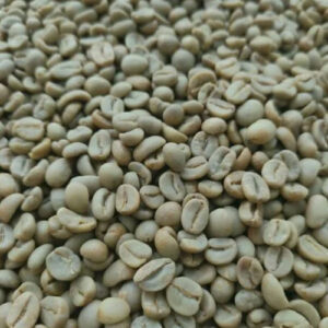 Robusta Bali Banyuatis