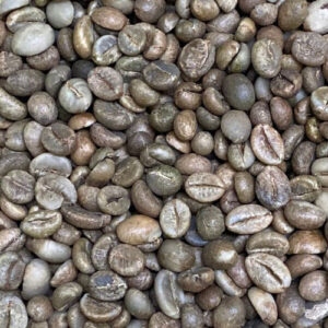 Robusta Flores East Manggarai