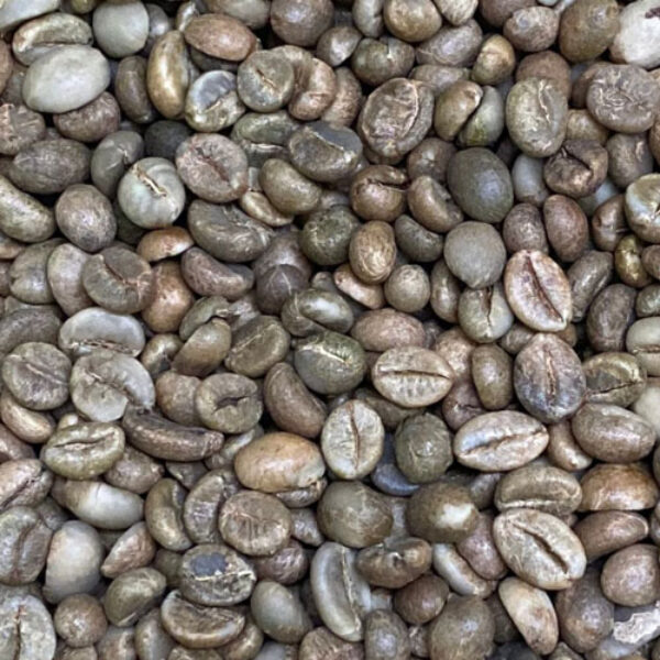 Robusta Flores East Manggarai