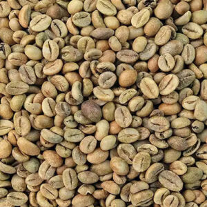 Robusta Java Banyuwangi