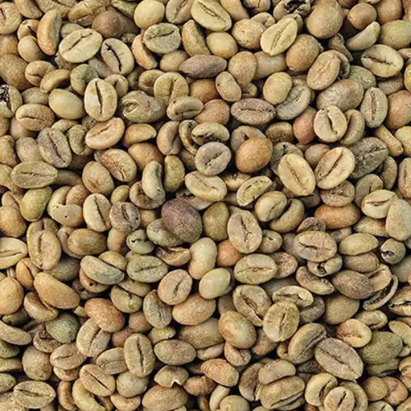 Robusta Java Banyuwangi