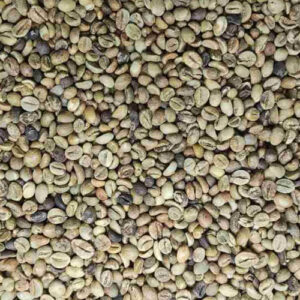 Robusta Lampung