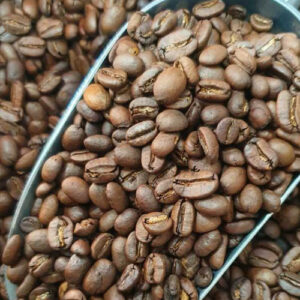 Sidikalang Arabica